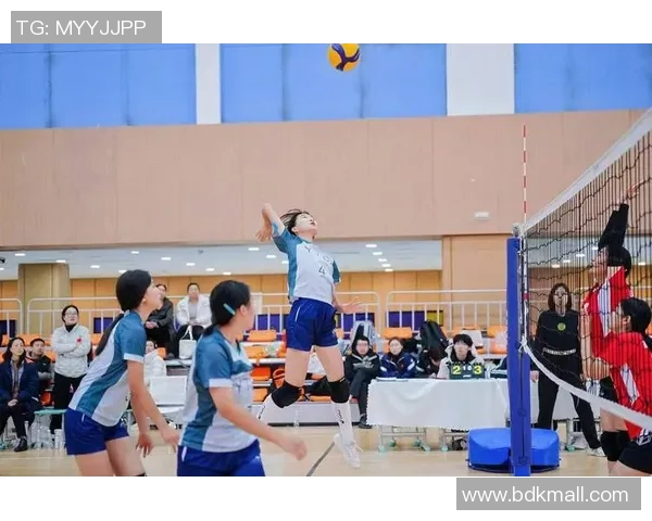 排球巨献:探秘西安排球队的战术 排球巨献:探秘西安排球队的战术