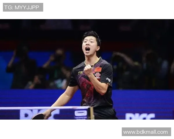 2026乒乓球耐力排行榜：南京乒乓球队位居第10名