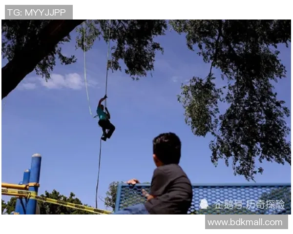 专业解读：杭州极限运动队的运营打法