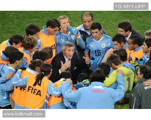 热议足球：南京足球队的团队协作变革