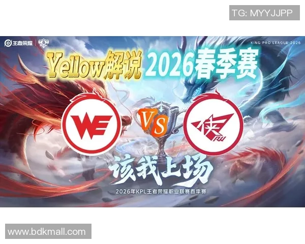 王者荣耀专题：聚焦WE的个人能力