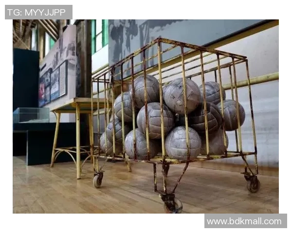 赵强专访：回顾排球历程