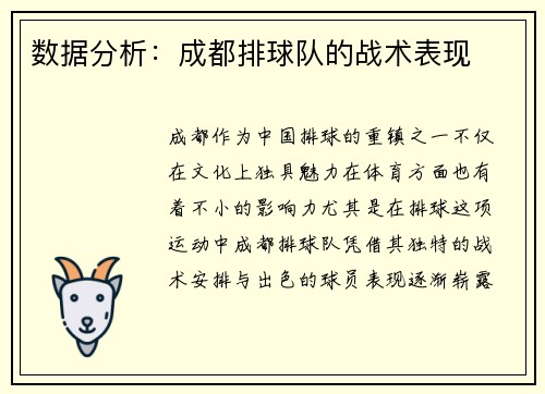 数据分析：成都排球队的战术表现